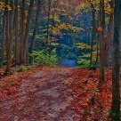 late september walk